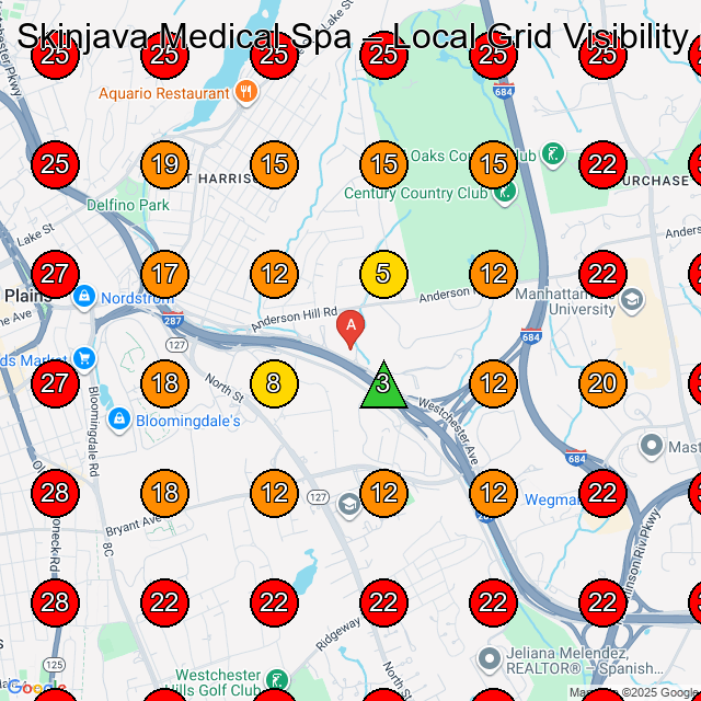 Skinjava Medical Spa GeoGrid visibility map for Medical Spa in Port Chester